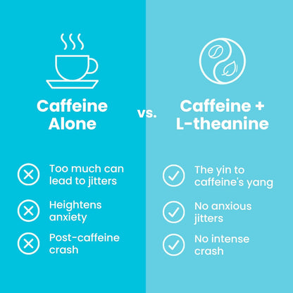 Neuro® Gum Energy & Focus™ 6 Pack (54 pcs) - Cinnamon